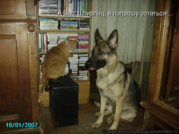 А Вас, Штирлиц, я попрошу остаться!...... Котоматрица: А Вас, Штирлиц, я попрошу остаться!...