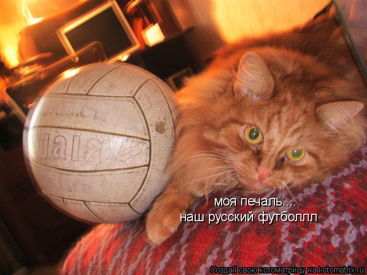 моя печаль.... наш русский футболлл... Котоматрица: моя печаль.... наш русский футболлл