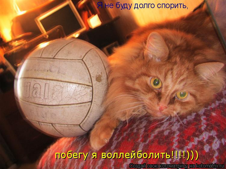 Я не буду долго спорить, побегу я воллейболить!!!!)))... Котоматрица: Я не буду долго спорить, побегу я воллейболить!!!!)))