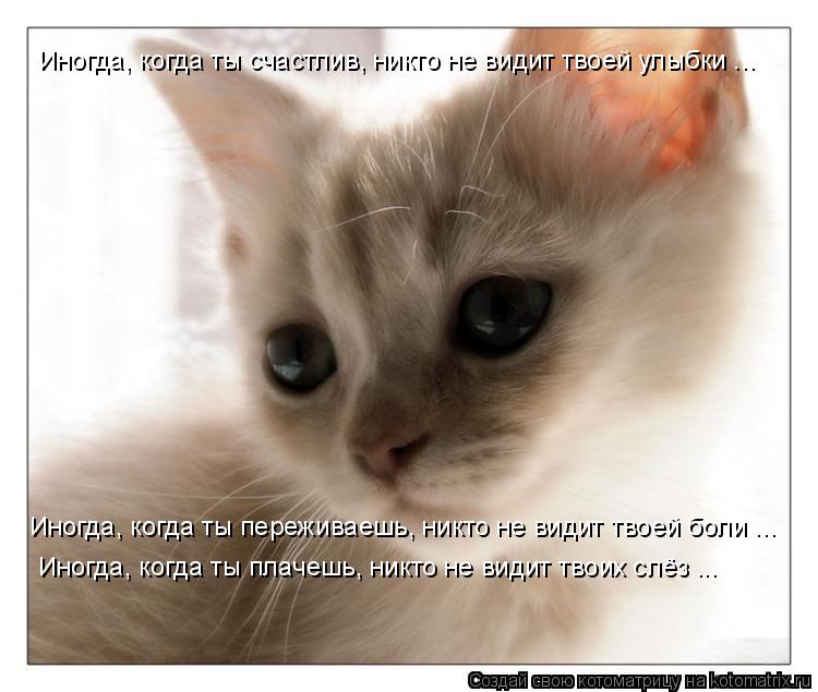 Иногда, когда ты счастлив, никто не видит твоей улыбки ... Иногда, когда ты плачешь, никто не видит т... Котоматрица: Иногда, когда ты счастлив, никто не видит твоей улыбки ... Иногда, когда ты плачешь, никто не видит твоих слёз ... Иногда, когда ты переживаешь,