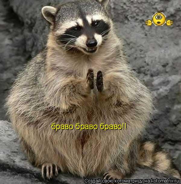 браво браво браво!!... Котоматрица: браво браво браво!!