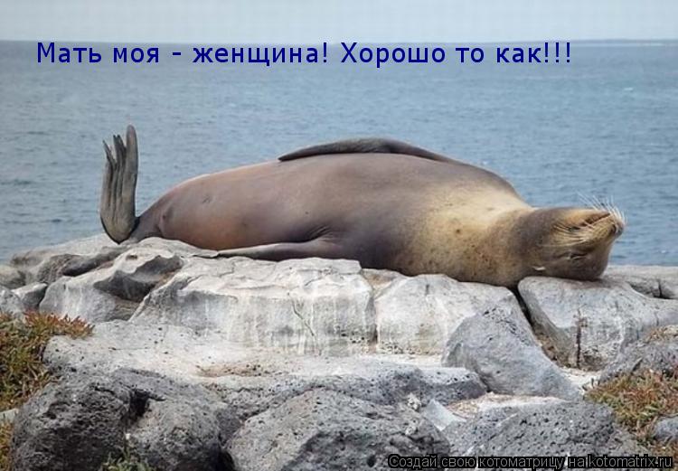 Мать моя - женщина! Хорошо то как!!!... Котоматрица: Мать моя - женщина! Хорошо то как!!!