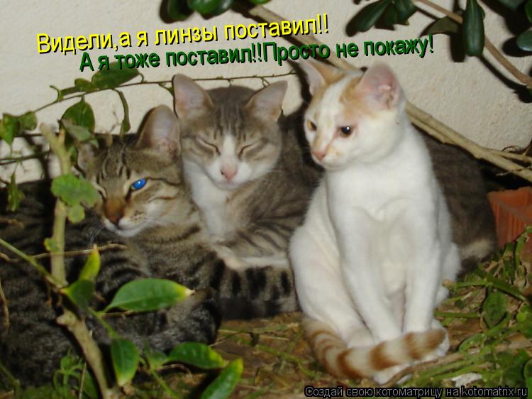 Видели,а я линзы поставил!! А я тоже поставил!!Просто не покажу!... Котоматрица: Видели,а я линзы поставил!! А я тоже поставил!!Просто не покажу!