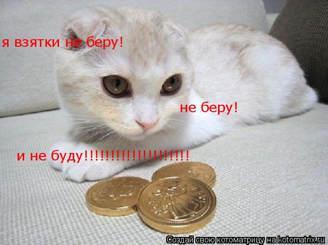 я взятки не беру! не беру! и не буду!!!!!!!!!!!!!!!!!!!!... Котоматрица: я взятки не беру! не беру! и не буду!!!!!!!!!!!!!!!!!!!!