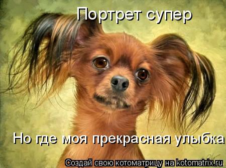 Портрет супер Но где моя прекрасная улыбка... Котоматрица: Портрет супер Но где моя прекрасная улыбка