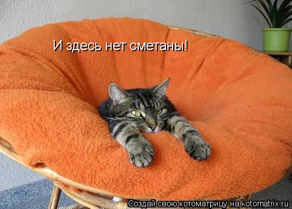 И здесь нет сметаны!... Котоматрица: И здесь нет сметаны!