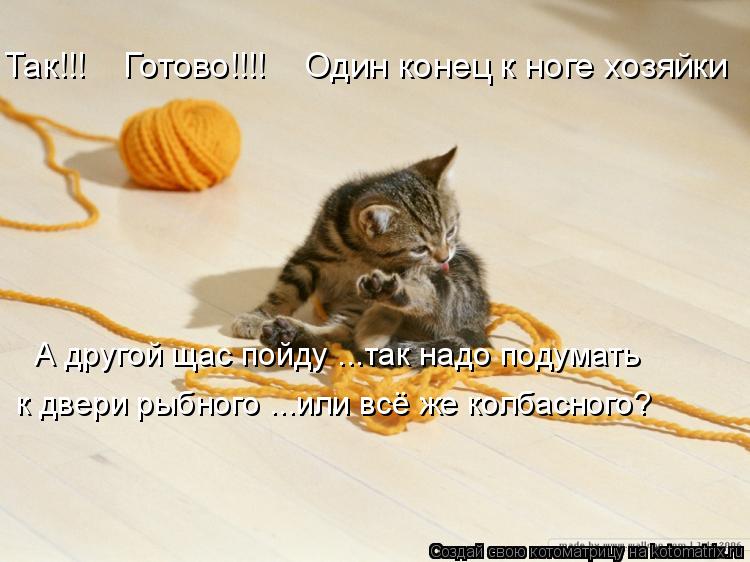 Так!!! Готово!!!! Один конец к ноге хозяйки А другой щас пойду ...так надо подумать к двери рыб... Котоматрица: Так!!! Готово!!!! Один конец к ноге хозяйки А другой щас пойду ...так надо подумать к двери рыбного ...или всё же колбасного?