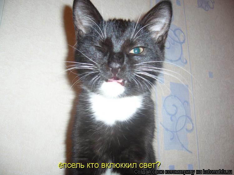 ёпсель кто вклюккил свет?... Котоматрица: ёпсель кто вклюккил свет?