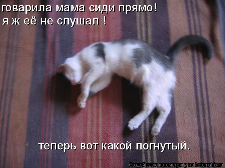 Котоматрица: говарила мама сиди прямо! я ж её не слушал ! теперь вот какой погнутый.