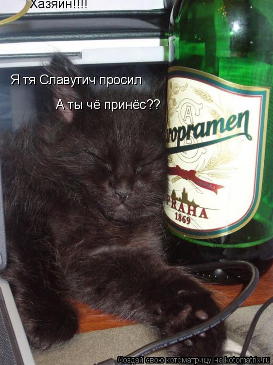 Хазяин!!!! Я тя Славутич просил А ты чё принёс??... Котоматрица: Хазяин!!!! Я тя Славутич просил А ты чё принёс??