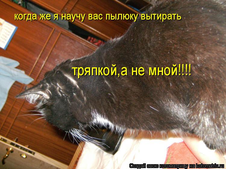 когда же я научу вас пылюку вытирать тряпкой,а не мной!!!!... Котоматрица: когда же я научу вас пылюку вытирать тряпкой,а не мной!!!!
