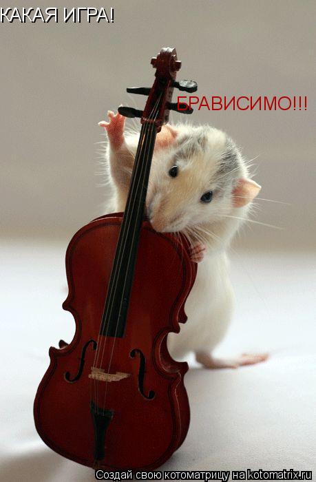 КАКАЯ ИГРА! БРАВИСИМО!!!... Котоматрица: КАКАЯ ИГРА! БРАВИСИМО!!!