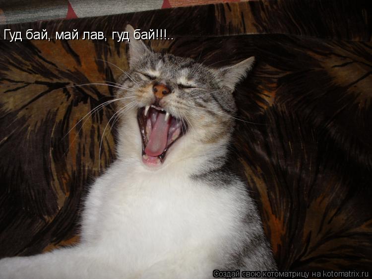 Гуд бай, май лав, гуд бай!!!..... Котоматрица: Гуд бай, май лав, гуд бай!!!..