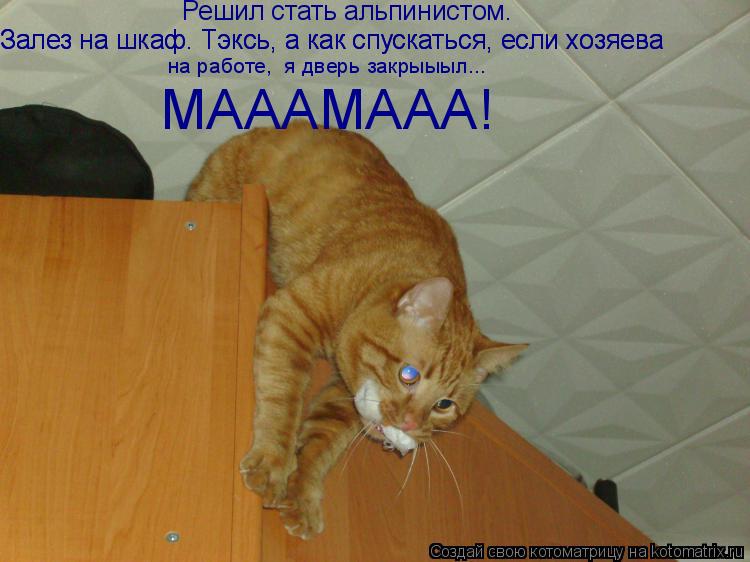 Решил стать альпинистом. Залез на шкаф. Тэксь, а как спускаться, если хозяева Залез на шкаф. Тэксь, а... Котоматрица: Решил стать альпинистом. Залез на шкаф. Тэксь, а как спускаться, если хозяева Залез на шкаф. Тэксь, а как спускаться, если хозяева на работе,