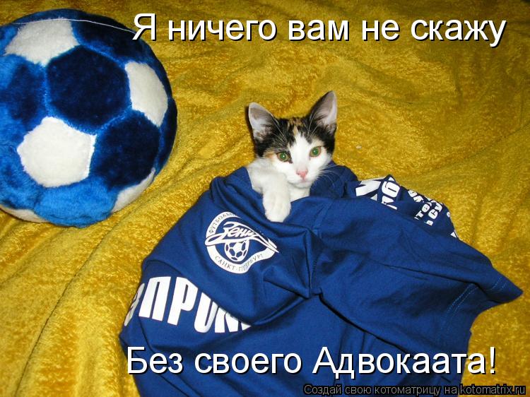 Я ничего вам не скажу Без своего Адвокаата!... Котоматрица: Я ничего вам не скажу Без своего Адвокаата!