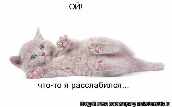 ОЙ! что-то я расслабился...... Котоматрица: ОЙ! что-то я расслабился...