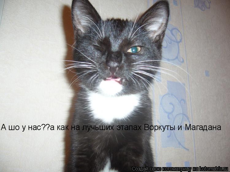 А шо у нас??а как на лучьших этапах Воркуты и Магадана... Котоматрица: А шо у нас??а как на лучьших этапах Воркуты и Магадана