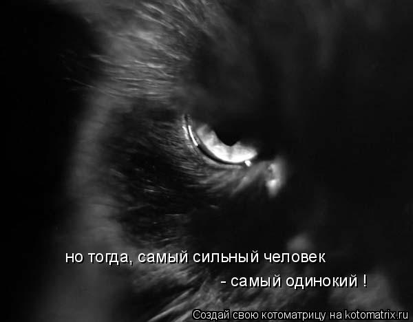 но тогда, самый сильный человек - самый одинокий !... Котоматрица: но тогда, самый сильный человек - самый одинокий !