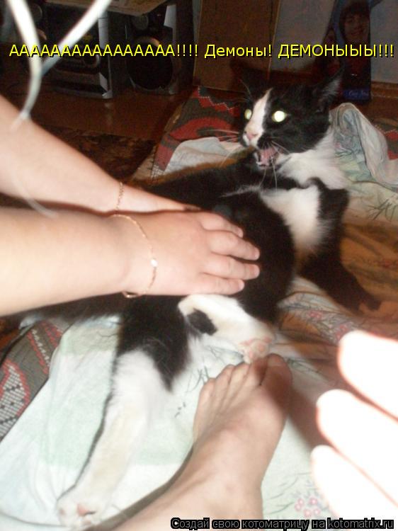 АААААААААААААААА!!!! Демоны! ДЕМОНЫЫЫ!!!... Котоматрица: АААААААААААААААА!!!! Демоны! ДЕМОНЫЫЫ!!!
