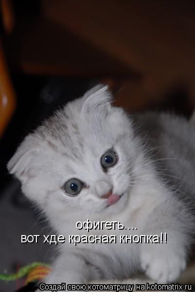 офигеть.... вот хде красная кнопка!!... Котоматрица: офигеть.... вот хде красная кнопка!!