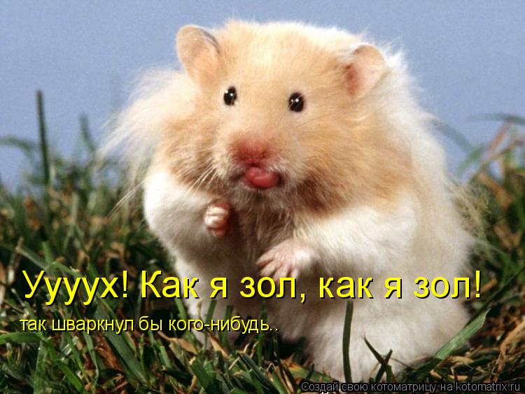 Уууух! Как я зол, как я зол! так шваркнул бы кого-нибудь..... Котоматрица: Уууух! Как я зол, как я зол! так шваркнул бы кого-нибудь..
