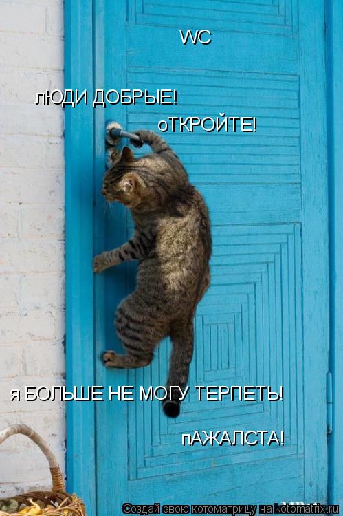 WC лЮДИ ДОБРЫЕ! оТКРОЙТЕ! я БОЛЬШЕ НЕ МОГУ ТЕРПЕТЬ! пАЖАЛСТА!... Котоматрица: WC лЮДИ ДОБРЫЕ! оТКРОЙТЕ! я БОЛЬШЕ НЕ МОГУ ТЕРПЕТЬ! пАЖАЛСТА!