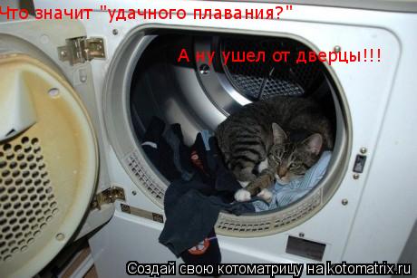 Что значит "удачного плавания?" А ну ушел от дверцы!!!... Котоматрица: Что значит "удачного плавания?" А ну ушел от дверцы!!!