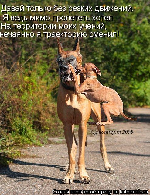 Давай только без резких движений. Я ведь мимо пролететь хотел. На территории моих учений, нечаянно я ... Котоматрица: Давай только без резких движений. Я ведь мимо пролететь хотел. На территории моих учений, нечаянно я траекторию сменил!