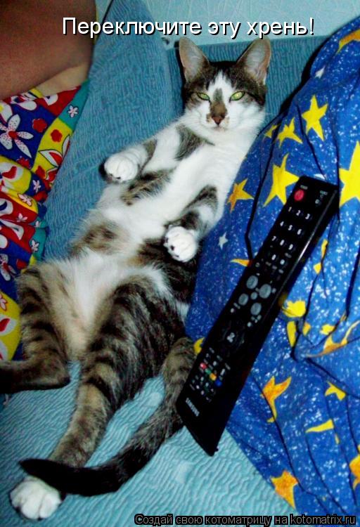 Котоматрица: Переключите эту хрень!