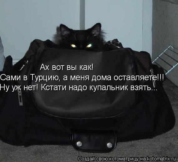 Ах вот вы как! Сами в Турцию, а меня дома оставляете!!! Ну уж нет! Кстати надо купальник взять...... Котоматрица: Ах вот вы как! Сами в Турцию, а меня дома оставляете!!! Ну уж нет! Кстати надо купальник взять...