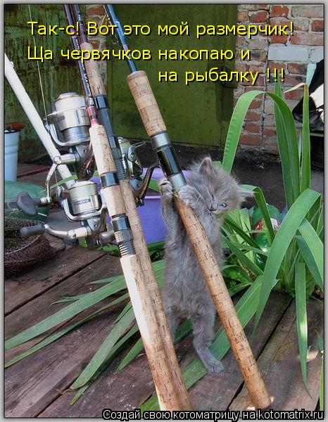 Так-с! Вот это мой размерчик! Ща червячков накопаю и на рыбалку !!!... Котоматрица: Так-с! Вот это мой размерчик! Ща червячков накопаю и на рыбалку !!!