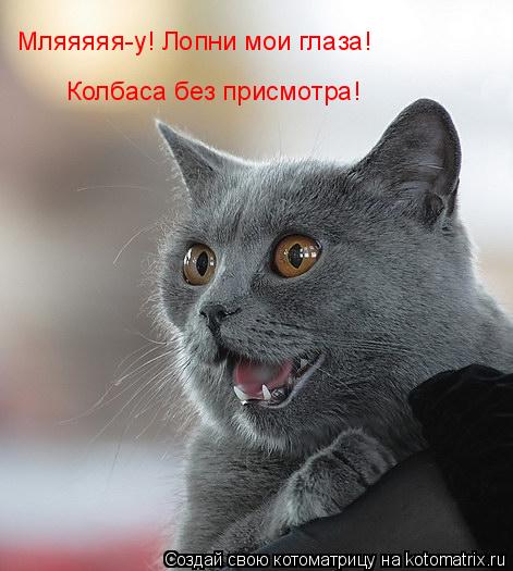 Мляяяяя-у! Лопни мои глаза! Колбаса без присмотра!... Котоматрица: Мляяяяя-у! Лопни мои глаза! Колбаса без присмотра!