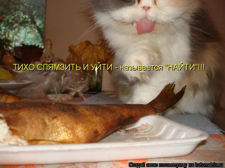 ТИХО СЛЯМЗИТЬ И УЙТИ - называется "НАЙТИ"!!!... Котоматрица: ТИХО СЛЯМЗИТЬ И УЙТИ - называется "НАЙТИ"!!!