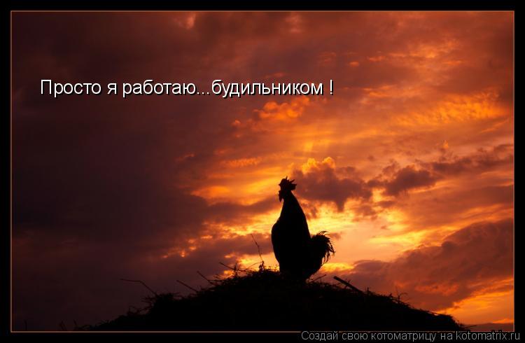 Просто я работаю...будильником !... Котоматрица: Просто я работаю...будильником !