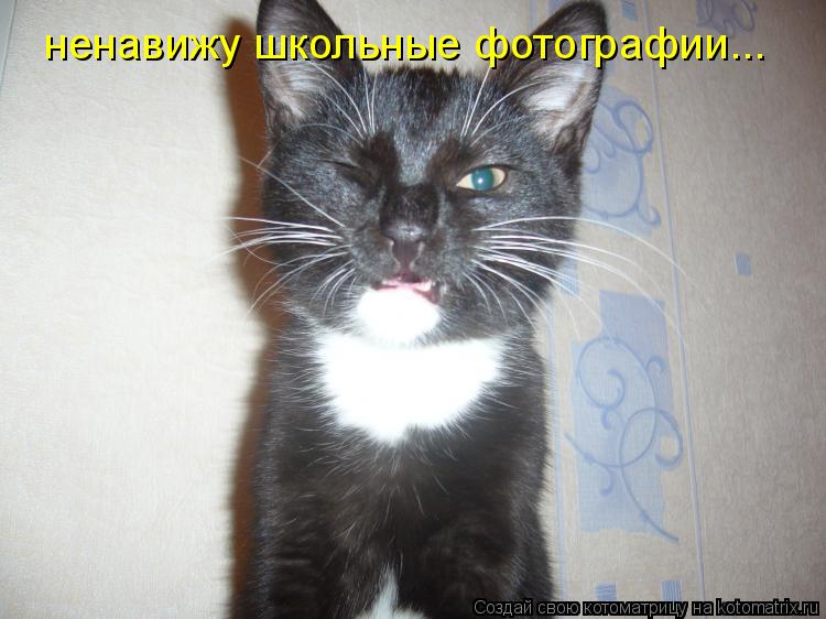 ненавижу школьные фотографии...... Котоматрица: ненавижу школьные фотографии...