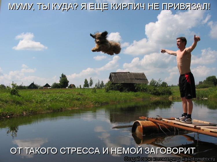 Котоматрица: МУМУ, ТЫ КУДА? Я ЕЩЕ КИРПИЧ НЕ ПРИВЯЗАЛ! ОТ ТАКОГО СТРЕССА И НЕМОЙ ЗАГОВОРИТ