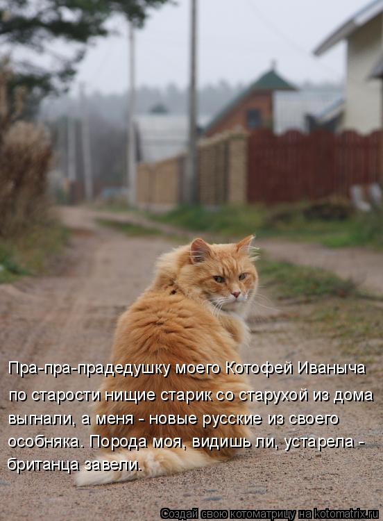 Пра-пра-прадедушку моего Котофей Иваныча по старости нищие старик со старухой из дома выгнали, а ме... Котоматрица: Пра-пра-прадедушку моего Котофей Иваныча по старости нищие старик со старухой из дома выгнали, а меня - новые русские из своего особняка. П