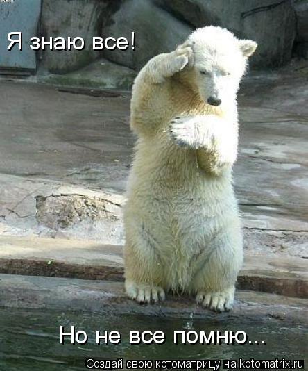 Я знаю все! Но не все помню...... Котоматрица: Я знаю все! Но не все помню...
