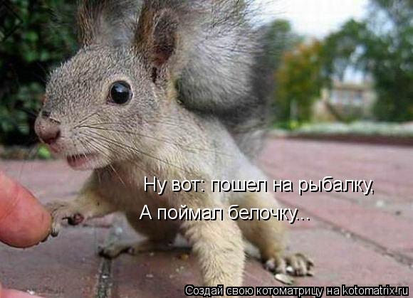 Ну вот: пошел на рыбалку, А поймал белочку...... Котоматрица: Ну вот: пошел на рыбалку, А поймал белочку...