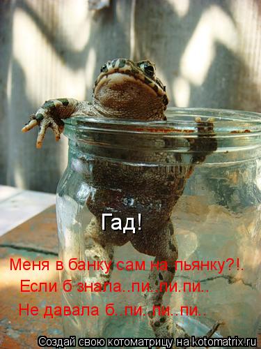Гад! Меня в банку сам на пьянку?!. Если б знала..пи..пи.пи.. Не давала б..пи..пи..пи..... Котоматрица: Гад! Меня в банку сам на пьянку?!. Если б знала..пи..пи.пи.. Не давала б..пи..пи..пи..