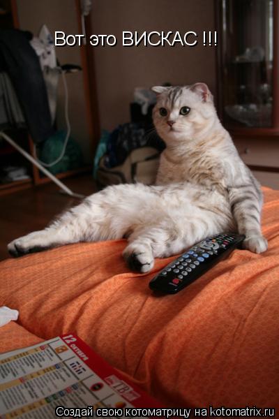 Вот это ВИСКАС !!!... Котоматрица: Вот это ВИСКАС !!!