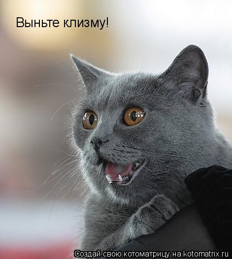 Выньте клизму!... Котоматрица: Выньте клизму!