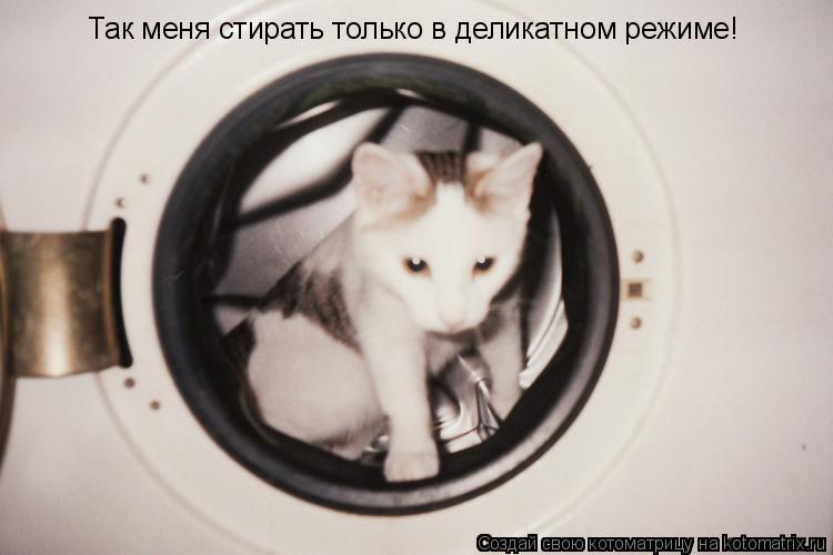 Так меня стирать только в деликатном режиме!... Котоматрица: Так меня стирать только в деликатном режиме!