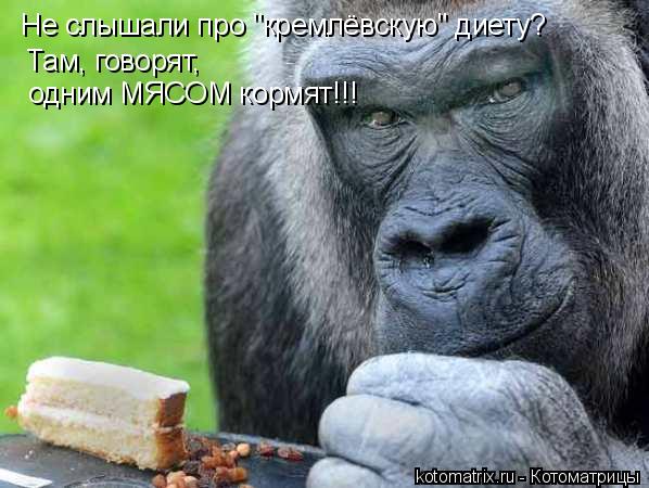 Не слышали про "кремлёвскую" диету? Там, говорят, одним МЯСОМ кормят!!!... Котоматрица: Не слышали про "кремлёвскую" диету? Там, говорят, одним МЯСОМ кормят!!!