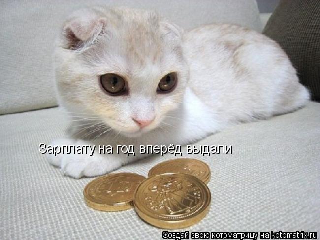 Зарплату на год вперёд выдали... Котоматрица: Зарплату на год вперёд выдали