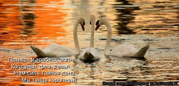 Прыжок и арабеск, волна... Колдуньи, феи, девы! Нам сила тайная дана - Мы танца королевы!... Котоматрица: Прыжок и арабеск, волна... Колдуньи, феи, девы! Нам сила тайная дана - Мы танца королевы!