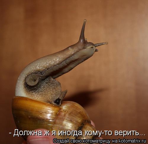 - Должна ж я иногда кому-то верить...... Котоматрица: - Должна ж я иногда кому-то верить...