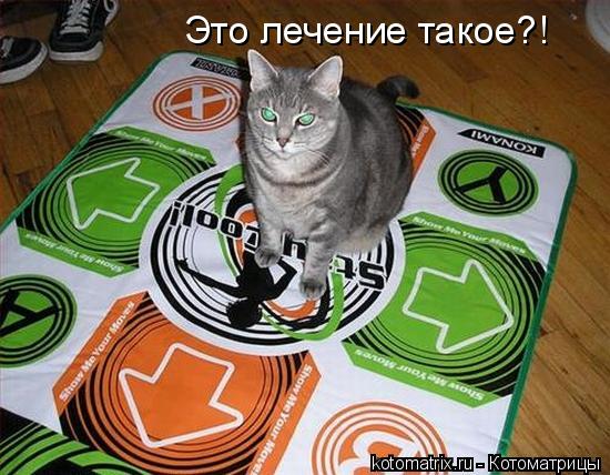 Это лечение такое?!... Котоматрица: Это лечение такое?!