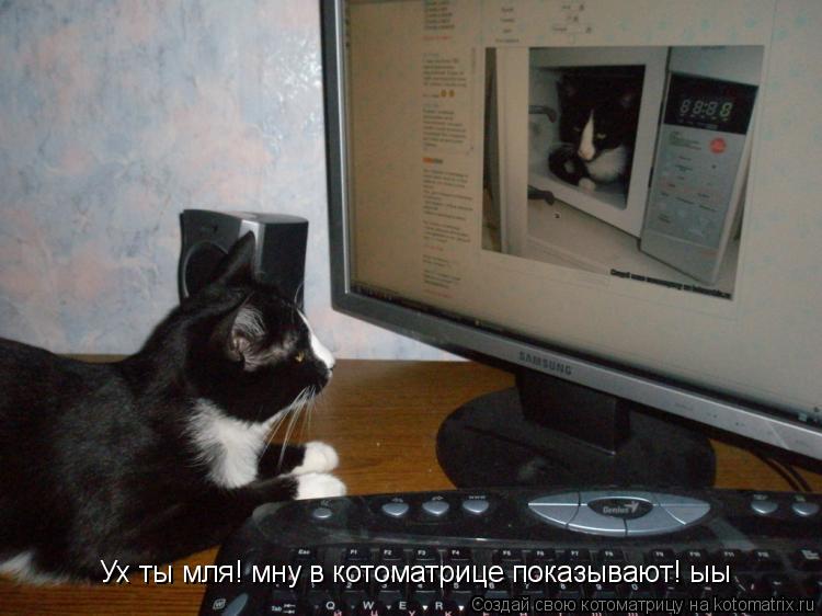 Ух ты мля! мну в котоматрице показывают! ыы... Котоматрица: Ух ты мля! мну в котоматрице показывают! ыы