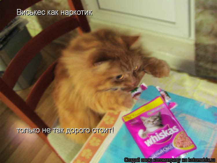 Виськес как наркотик только не так дорого стоит!... Котоматрица: Виськес как наркотик только не так дорого стоит!